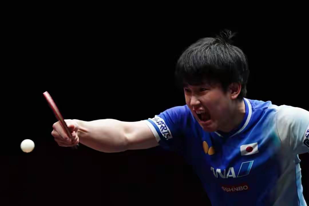 ayx世界杯2026-韩国队力克瑞典队，张本智和状态火热